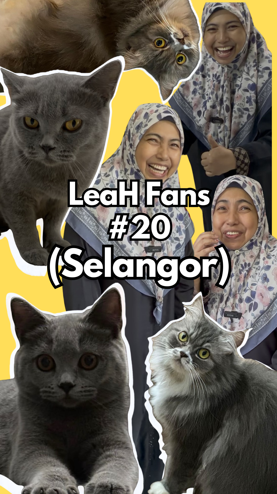 From Skinny Body to All 10 Cats Eating LeaH and Looking Fuller