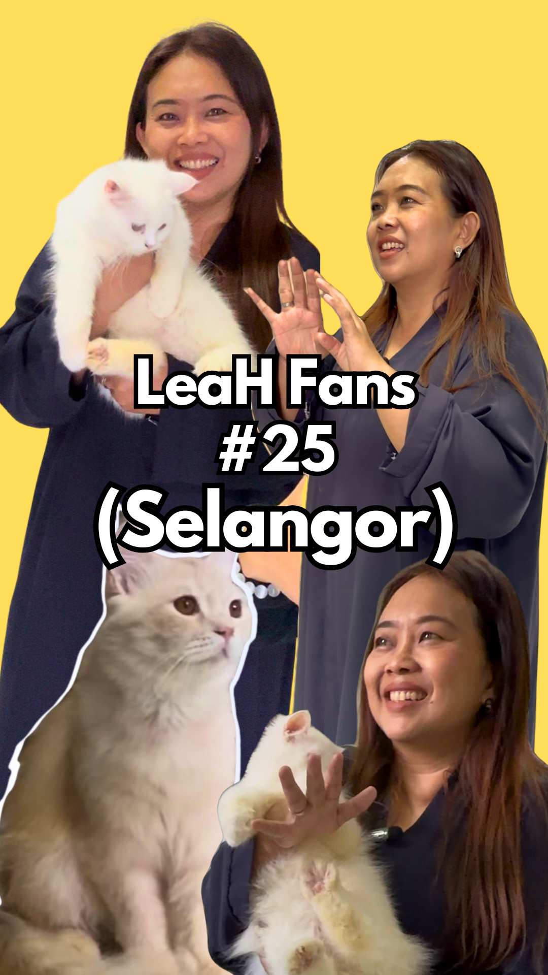 From Thin Stray Cat to Fuller, Stronger Body After Eating LeaH