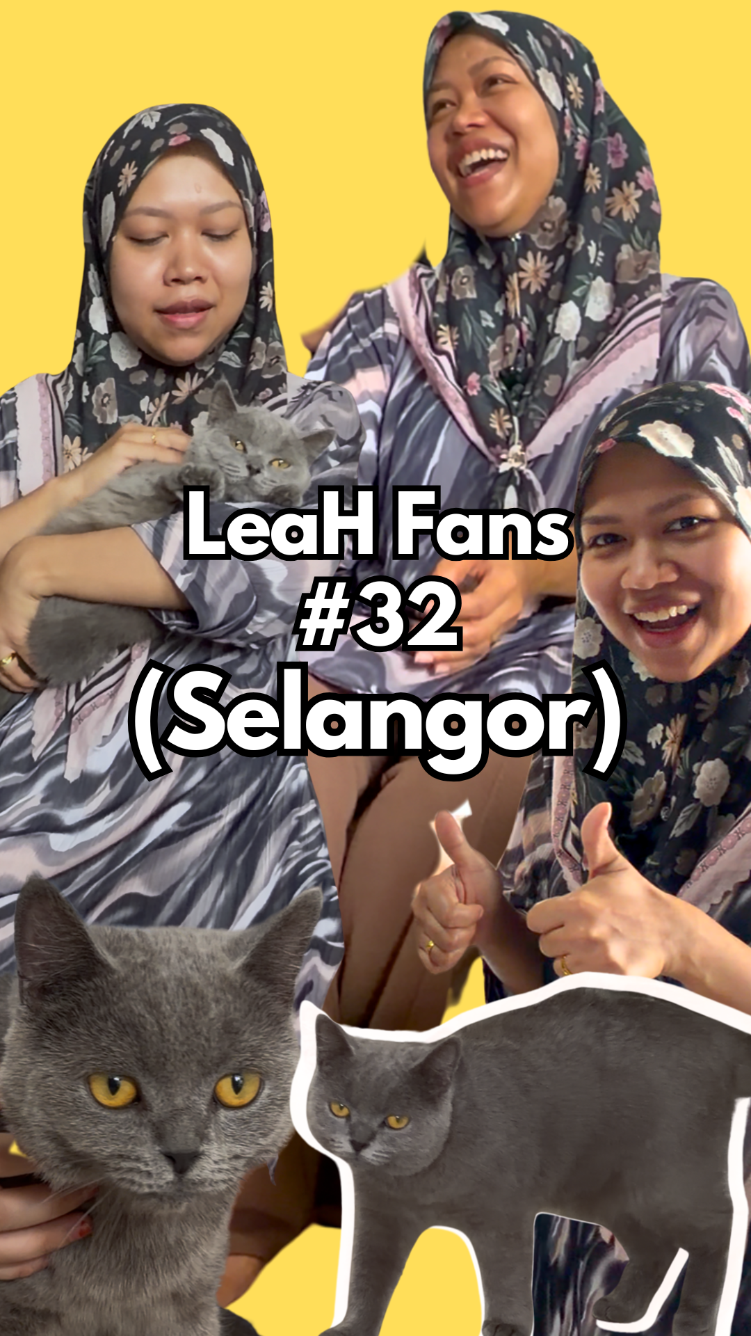 From Hard-to-Gain Weight and Shedding to Better Body and Coat After Eating LeaH