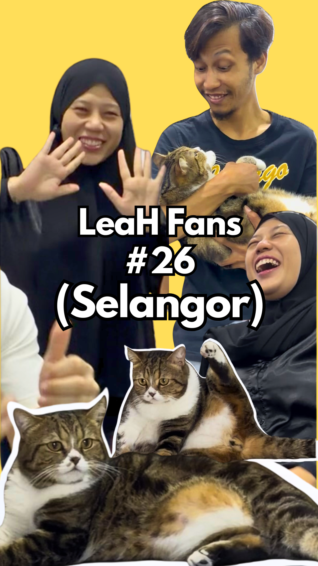 From Heavy Shedding and 3KG Body to 6KG With Less Fur Drop After Eating LeaH