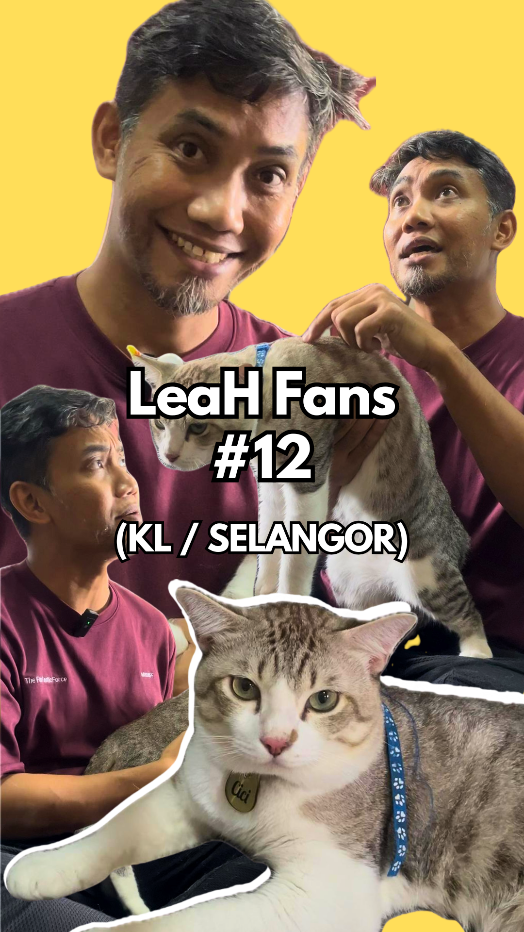 From Picky Eating to Visible Weight Gain: This Cat Started Eating LeaH Right Away