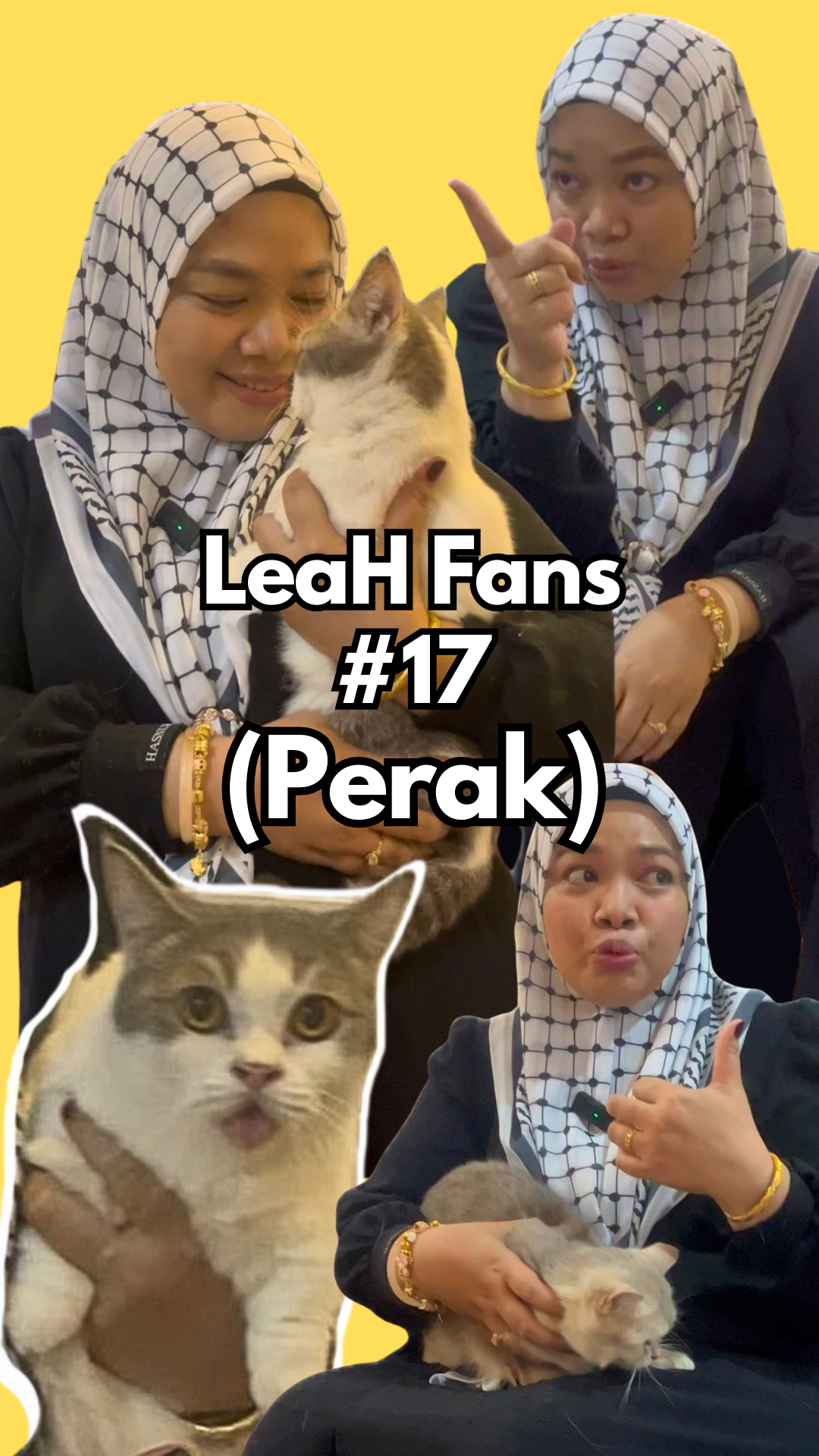 From Heavy Shedding and Bare Patches to Fur Growing Back: This Cat Looked Fuller After Maintaining LeaH