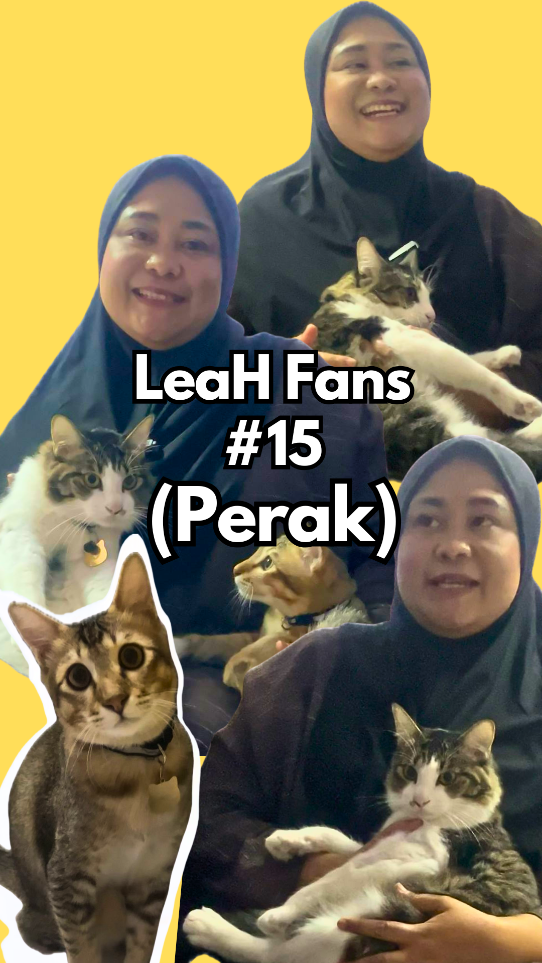 From Poor Appetite and Rough Fur to Weight Gain and Softer Coat After Eating LeaH