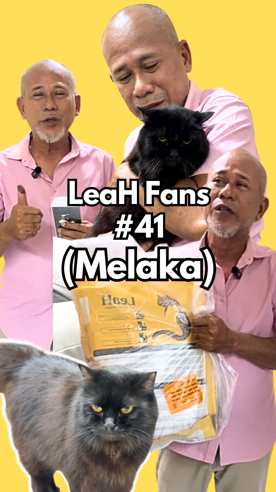 From Food Boredom and Shedding to Better Appetite and Smoother Coat After LeaH