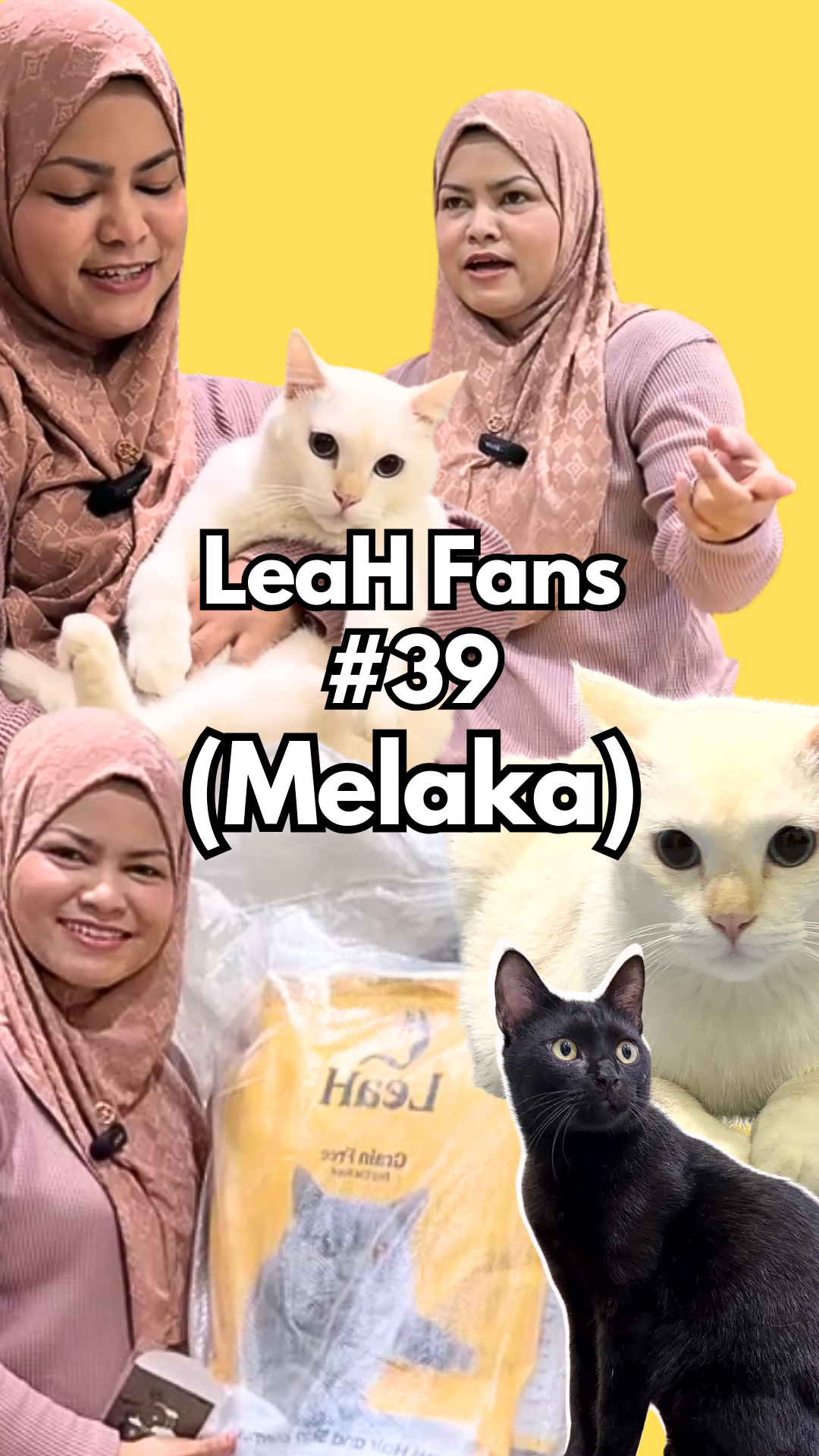 From Picky Eating and Heavy Shedding to Better Appetite and Fuller Body After LeaH