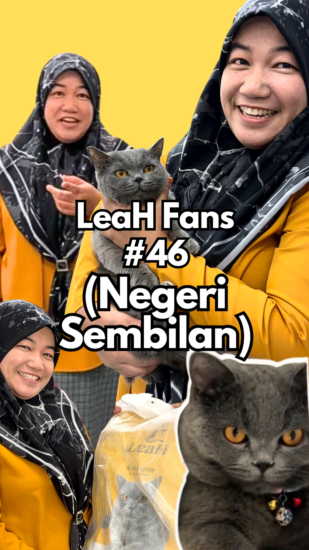 From Poor Skin and Fur Loss to Better Coat and Fuller Body After Eating LeaH