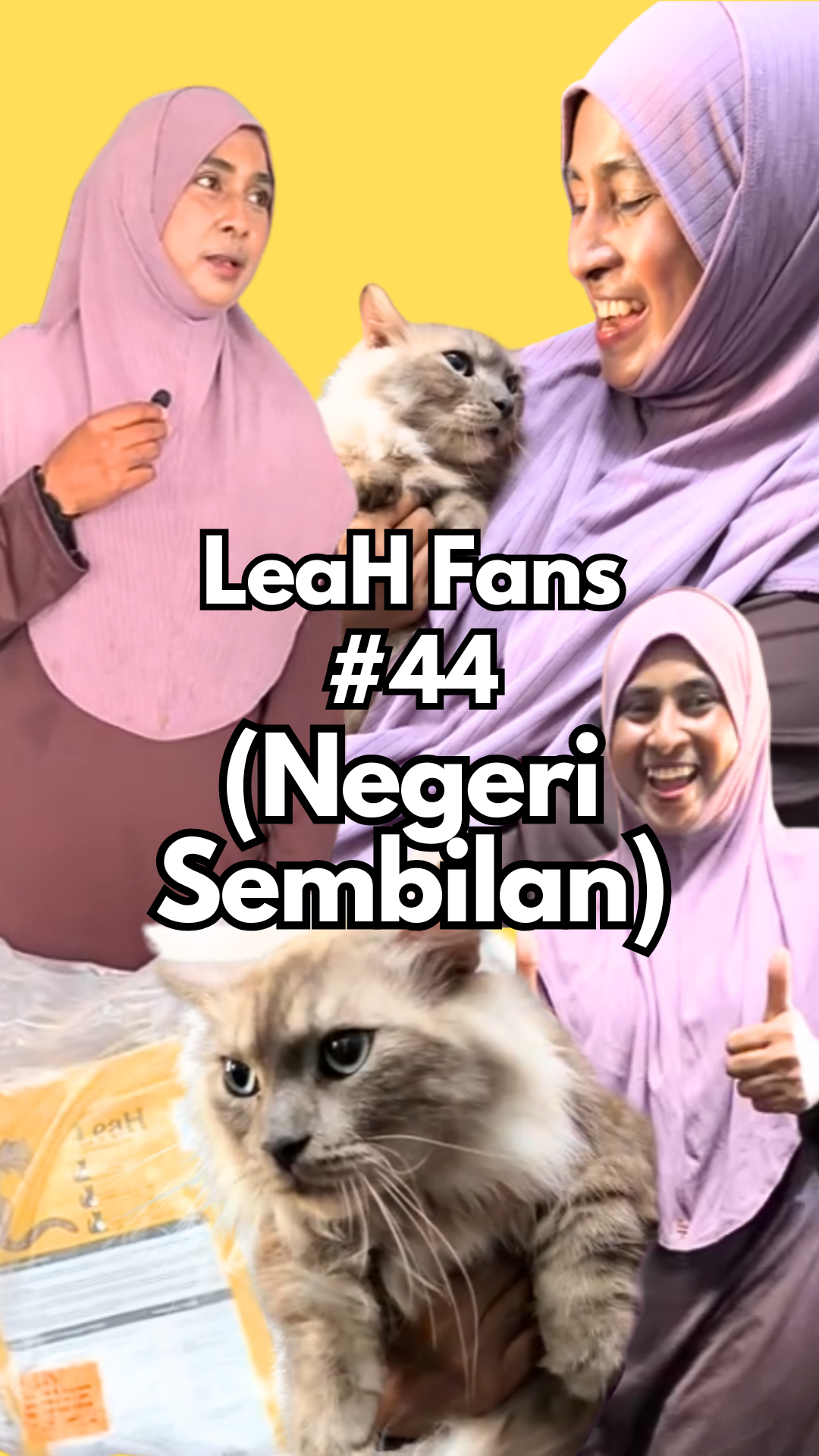 From Frequent Fever and Normal Body to Healthier, Fuller Cats After Eating LeaH