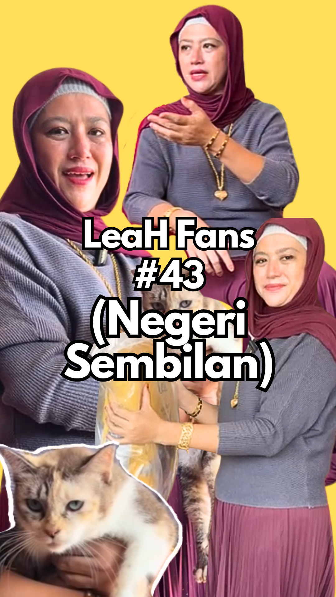 From Small Body and Heavy Shedding to 5KG With Less Fur Drop After Eating LeaH